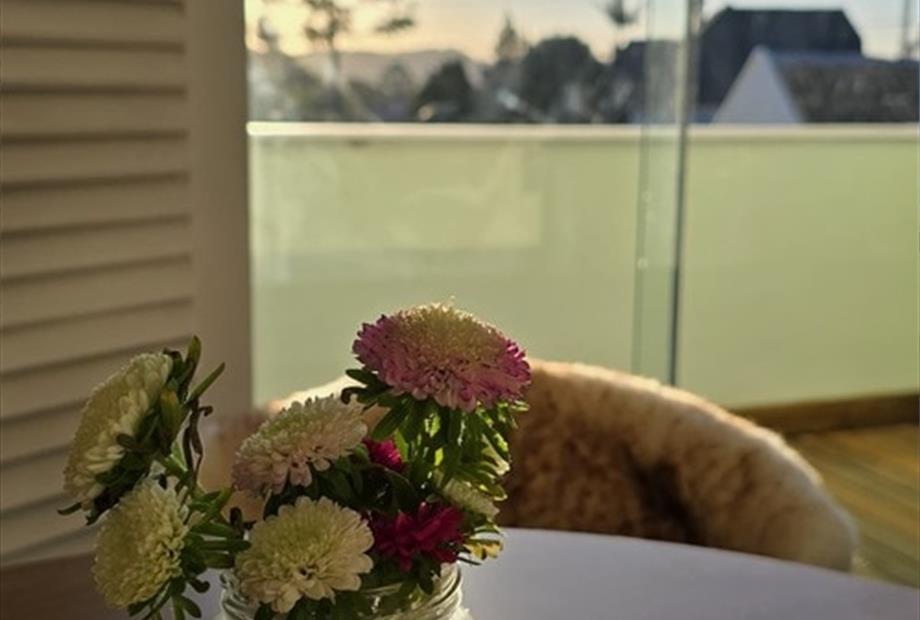 whatsapp image 2024-08-12 at 2.06.33 pm (2).jpeg