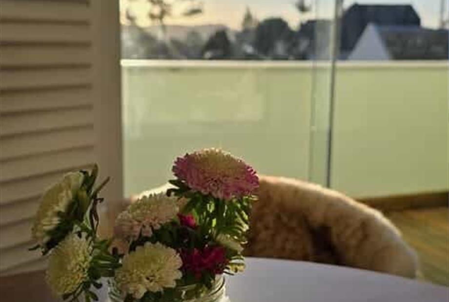 whatsapp image 2024-08-12 at 2.06.33 pm (2).jpeg