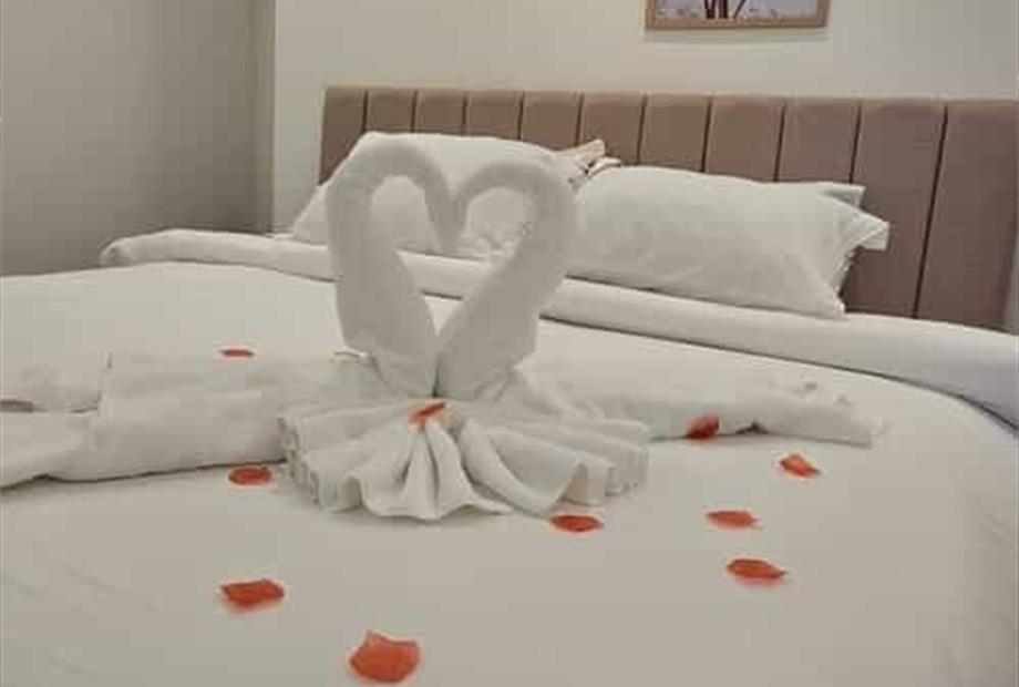 whatsapp image 2024-08-12 at 2.06.33 pm (1).jpeg