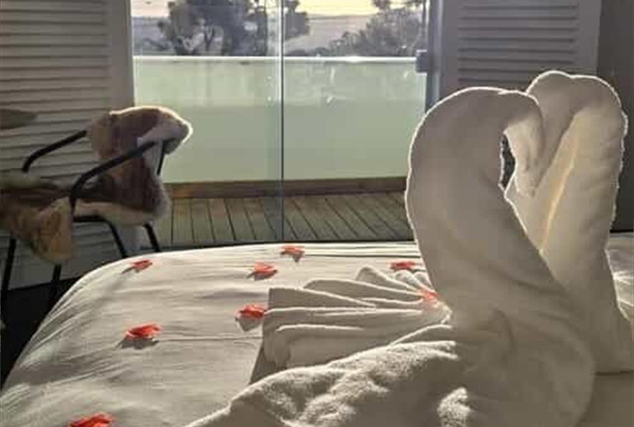 whatsapp image 2024-08-12 at 2.06.33 pm.jpeg