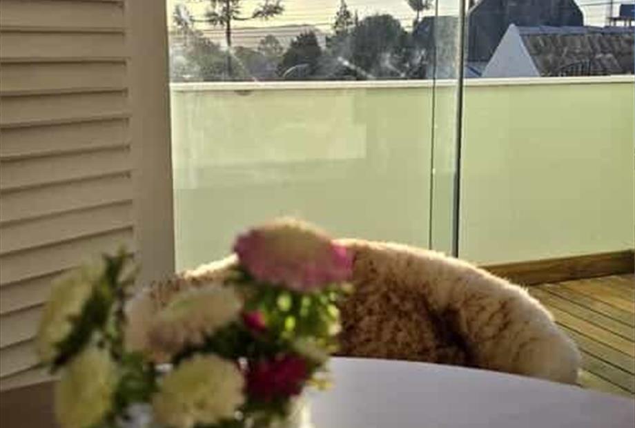 whatsapp image 2024-08-12 at 2.06.32 pm.jpeg