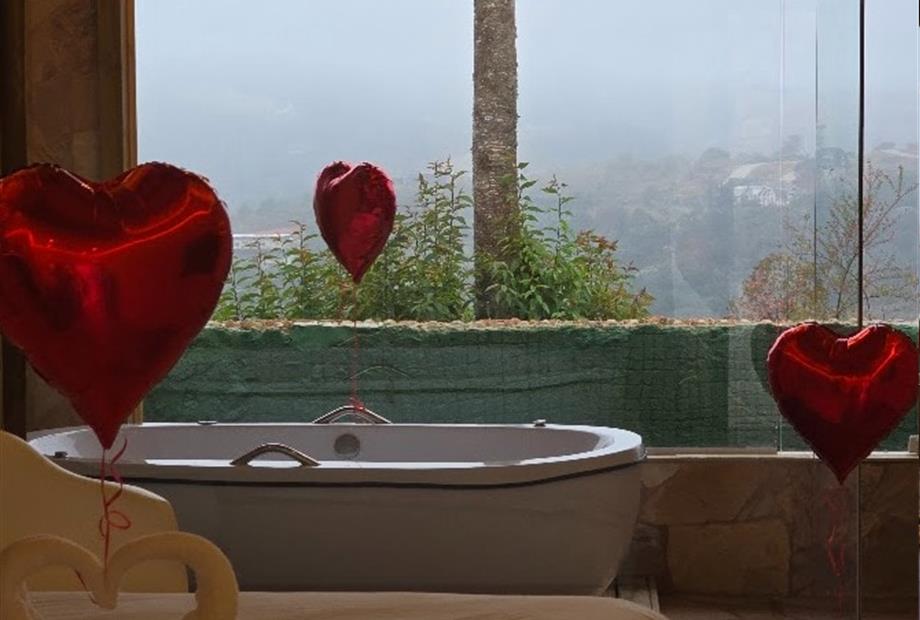 whatsapp image 2026-01-11 at 15.06.45 (1).jpeg