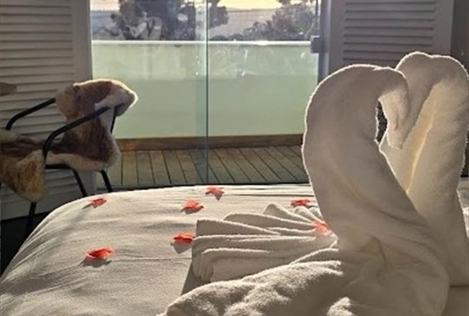 whatsapp image 2026-01-11 at 18.08.19.jpeg