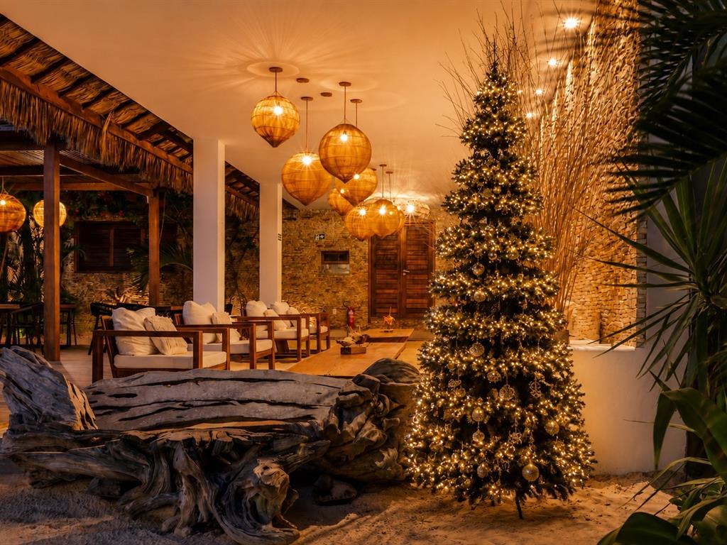 PACOTE DE NATAL