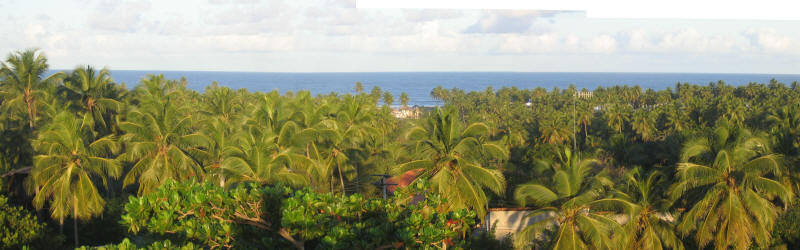 escolhida - mirante - foto 02.jpg
