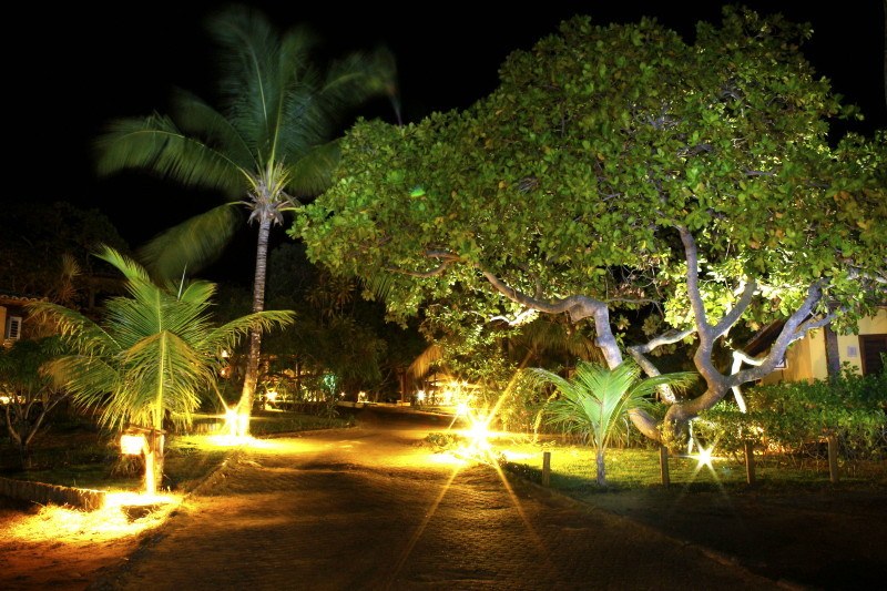 escolhida - entrada - foto 2.jpg