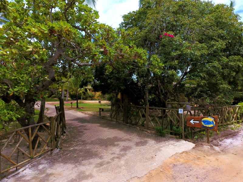 escolhida - entrada - foto 1.jpg