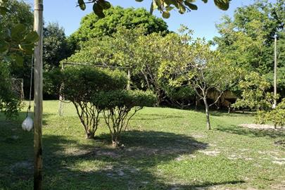 escolhida - espiribol - foto 01.jpg