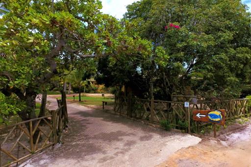 escolhida - entrada - foto 1.jpg