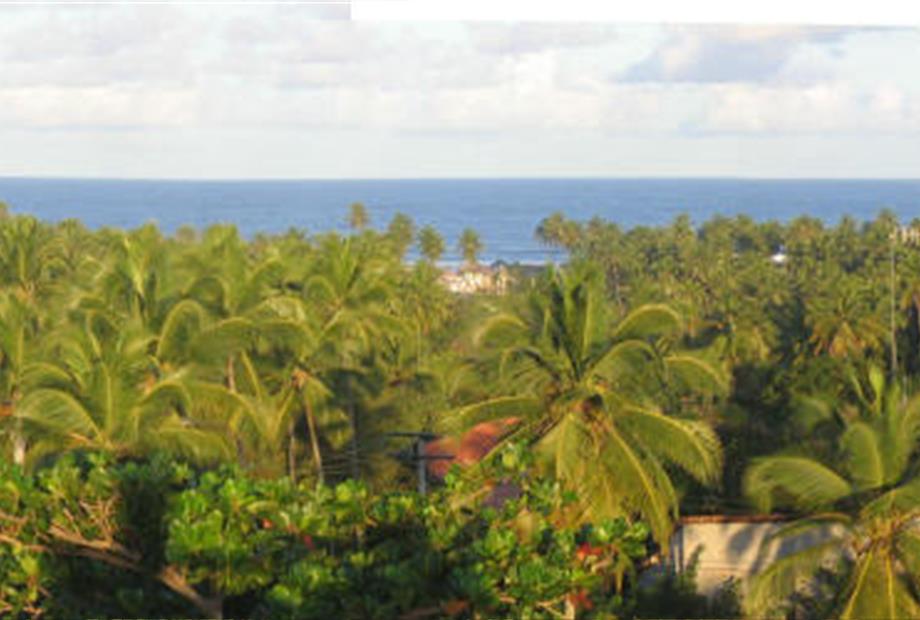 escolhida - mirante - foto 02.jpg