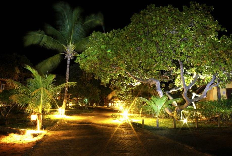 escolhida - entrada - foto 2.jpg