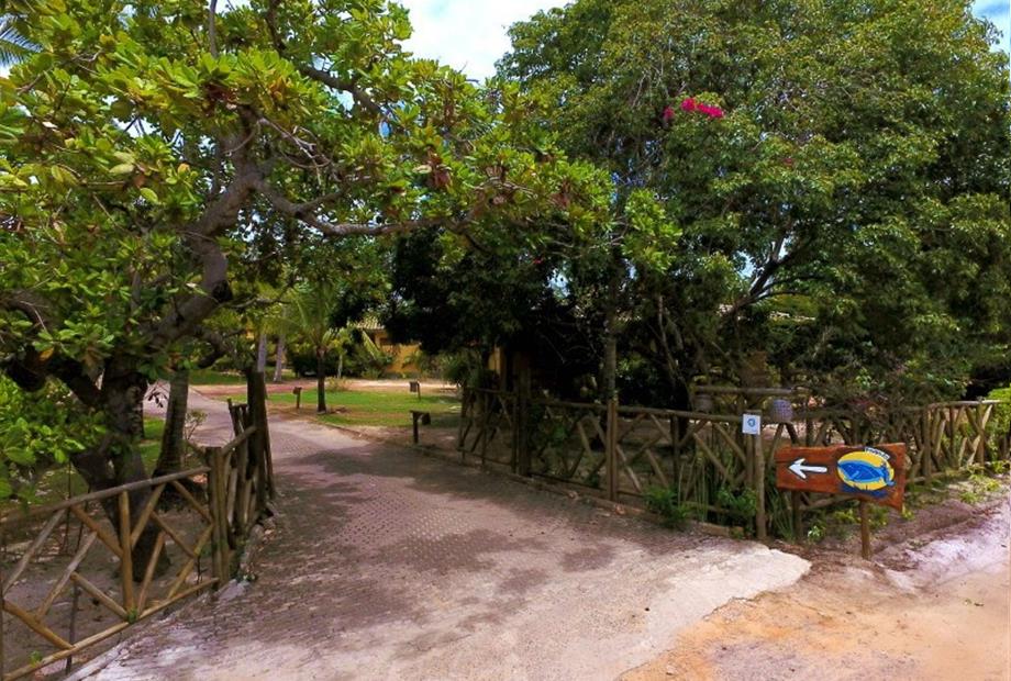 escolhida - entrada - foto 1.jpg