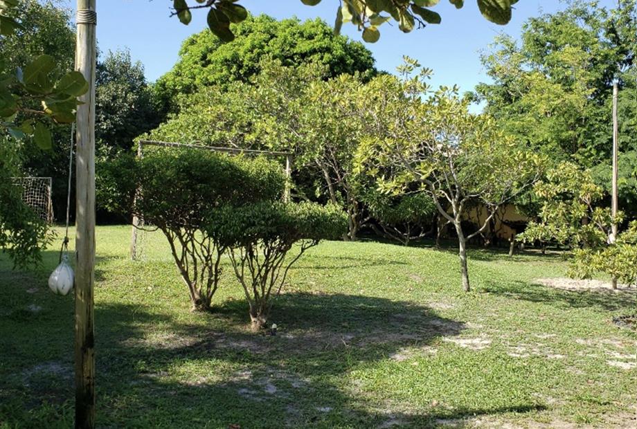 escolhida - espiribol - foto 01.jpg