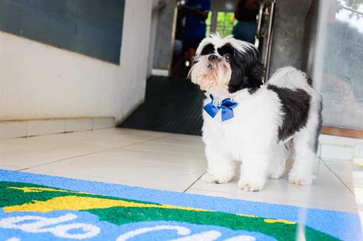 whatsapp image 2025-07-09 at 10.48.54.jpeg