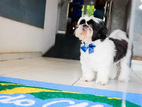 whatsapp image 2025-07-09 at 10.48.54.jpeg