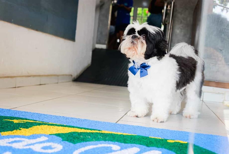 whatsapp image 2025-07-09 at 10.48.54.jpeg