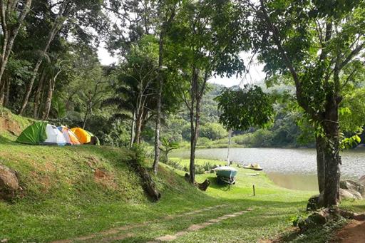 whatsapp image 2020-12-02 at 08.59.19.jpeg