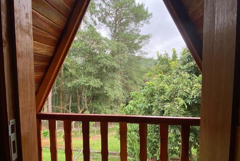 whatsapp image 2022-04-02 at 10.41.58.jpeg