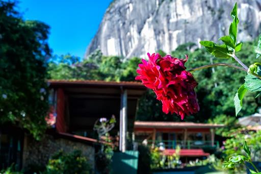 whatsapp image 2020-08-19 at 08.57.48 (2).jpeg