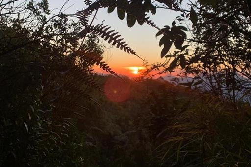 whatsapp image 2024-05-14 at 14.05.41 (1).jpeg