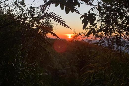 whatsapp image 2024-05-14 at 14.05.40.jpeg