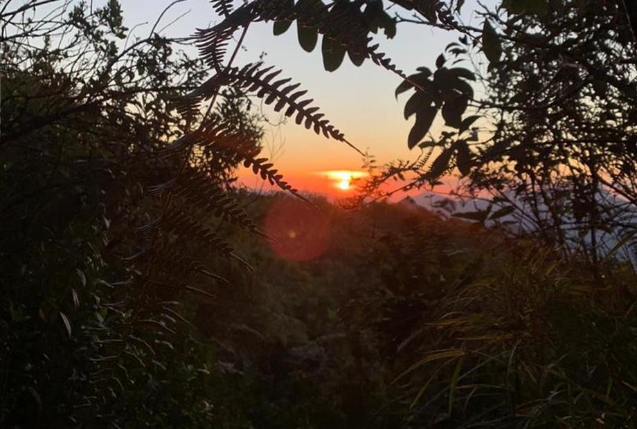 whatsapp image 2024-05-14 at 14.05.41 (1).jpeg