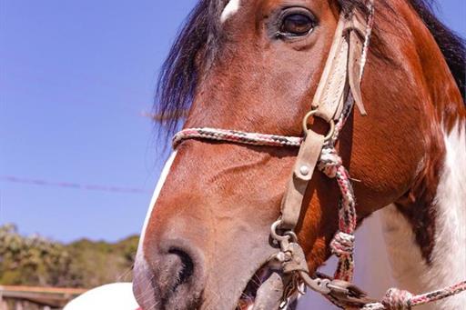 whatsapp image 2024-10-30 at 15.03.26.jpeg