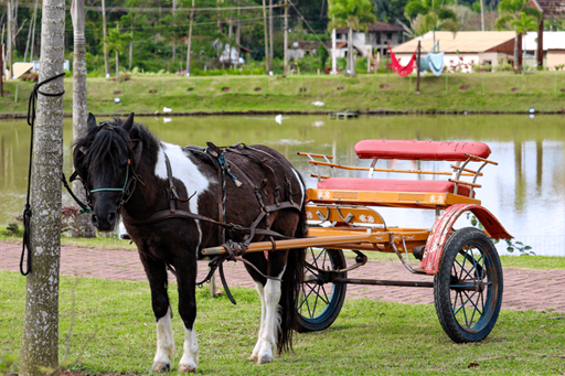 captura de tela 2024-10-30 144329.png