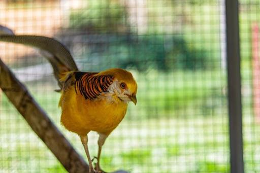 whatsapp image 2024-10-30 at 17.39.43 (1).jpeg