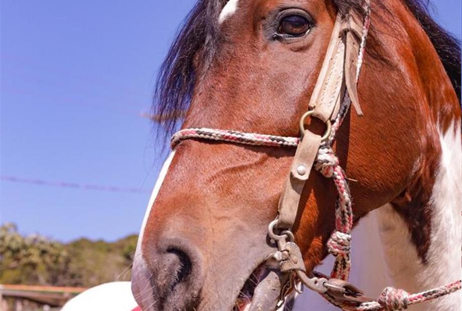 whatsapp image 2024-10-30 at 15.03.26.jpeg