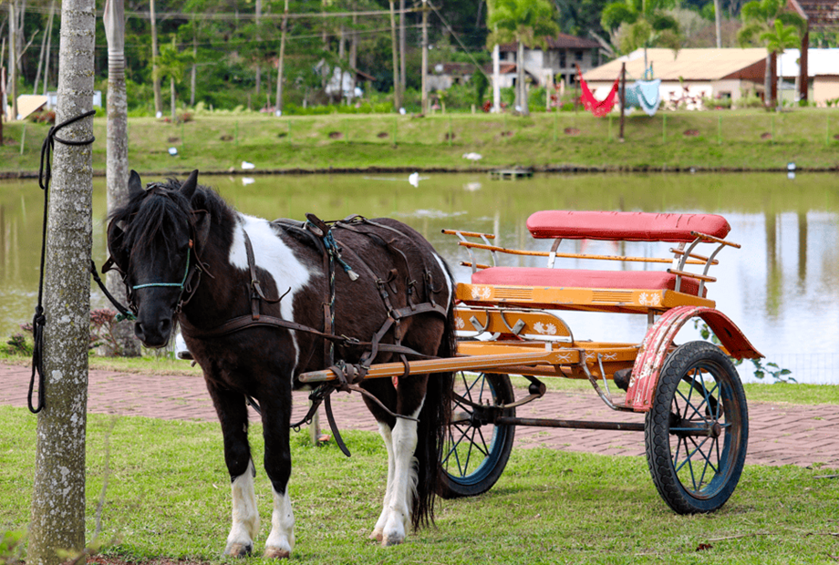 captura de tela 2024-10-30 144329.png