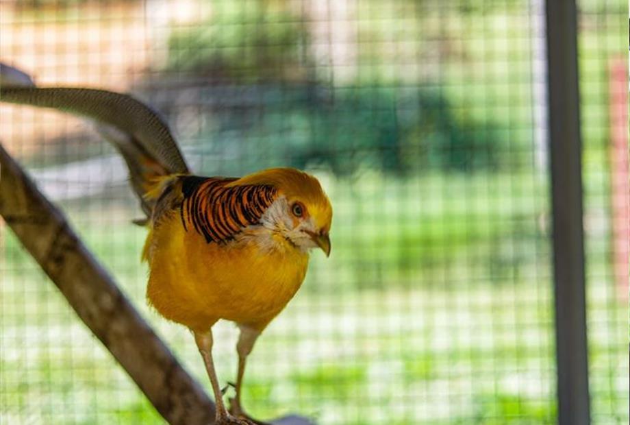 whatsapp image 2024-10-30 at 17.39.43 (1).jpeg