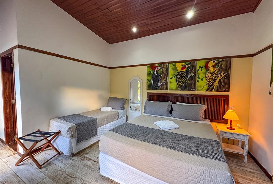 whatsapp image 2026-04-29 at 15.32.43.jpeg