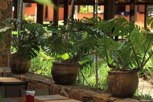 000027 (32) grande.jpeg