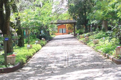 000027 (2) grande.jpeg