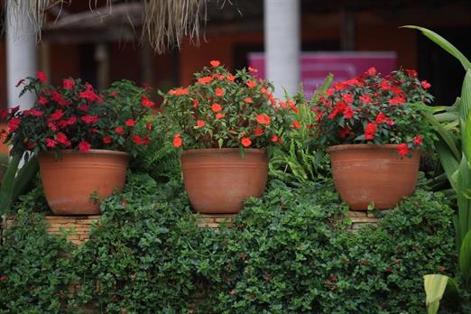 000027 (25) grande.jpeg