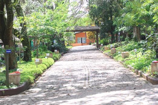 000027 (2) grande.jpeg