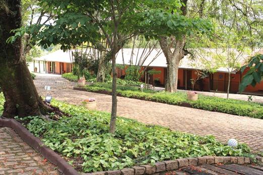 000027 (4) grande.jpeg