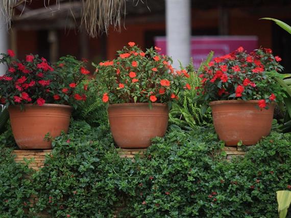 000027 (25) grande.jpeg