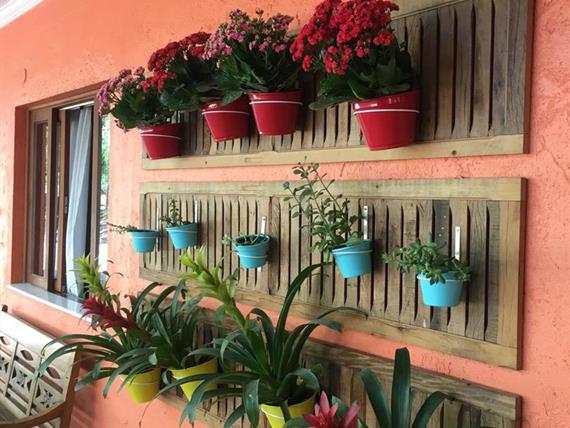 img_5040 grande.jpeg