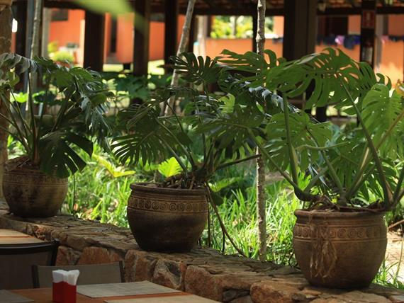 000027 (32) grande.jpeg