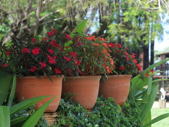 000027 (1) grande.jpeg