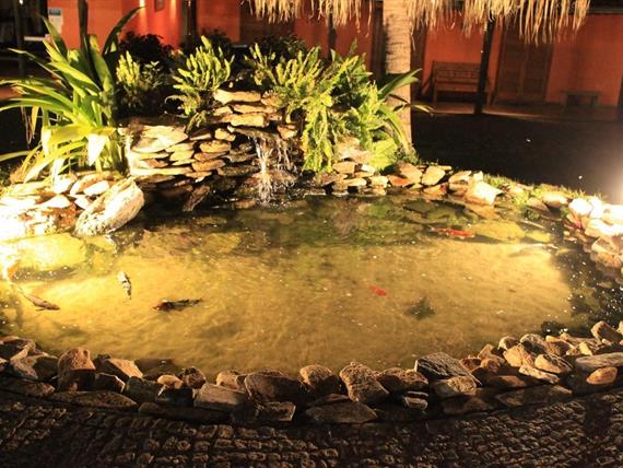 000021 (6) grande.jpeg