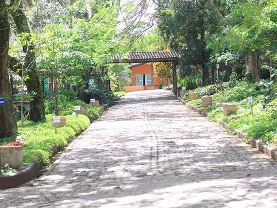 000027 (2) grande.jpeg