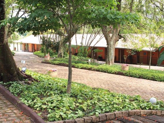 000027 (4) grande.jpeg