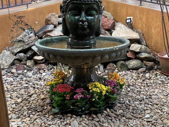 img_7789 grande.jpeg