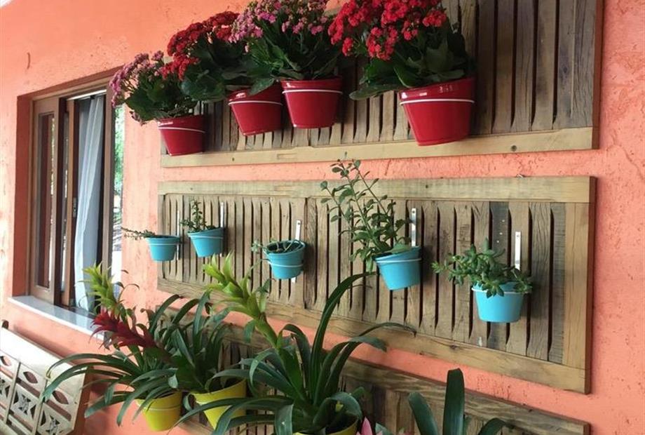 img_5040 grande.jpeg