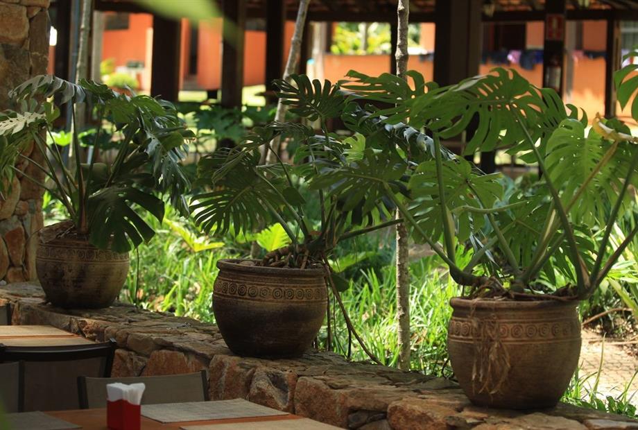 000027 (32) grande.jpeg