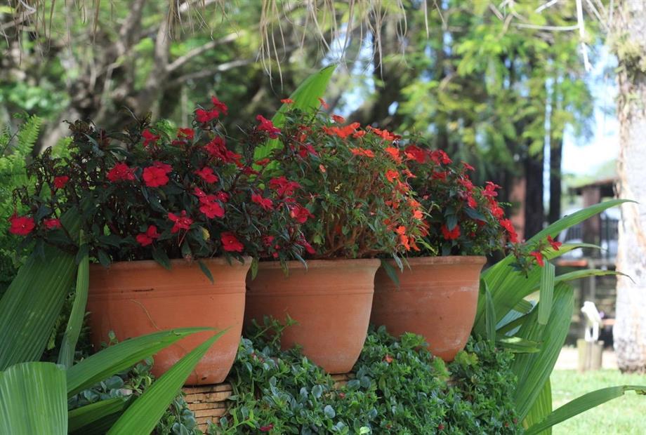 000027 (1) grande.jpeg