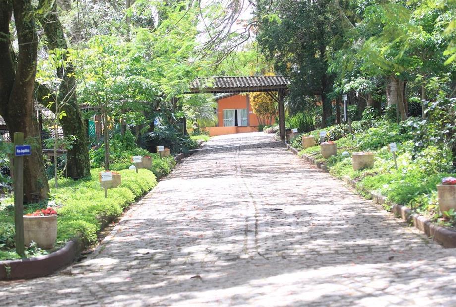 000027 (2) grande.jpeg